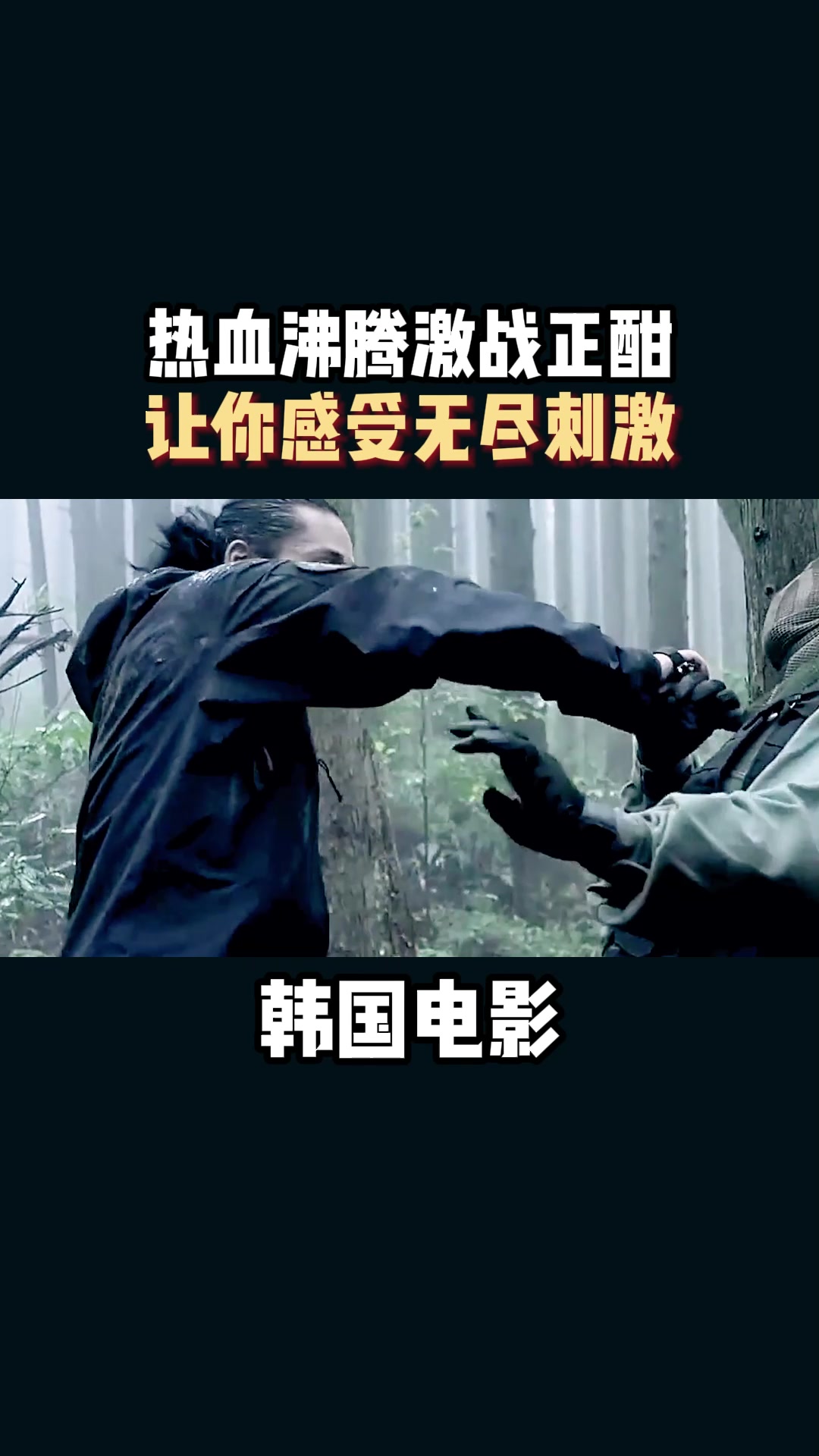 梦想之路漫长，热血战斗正酣