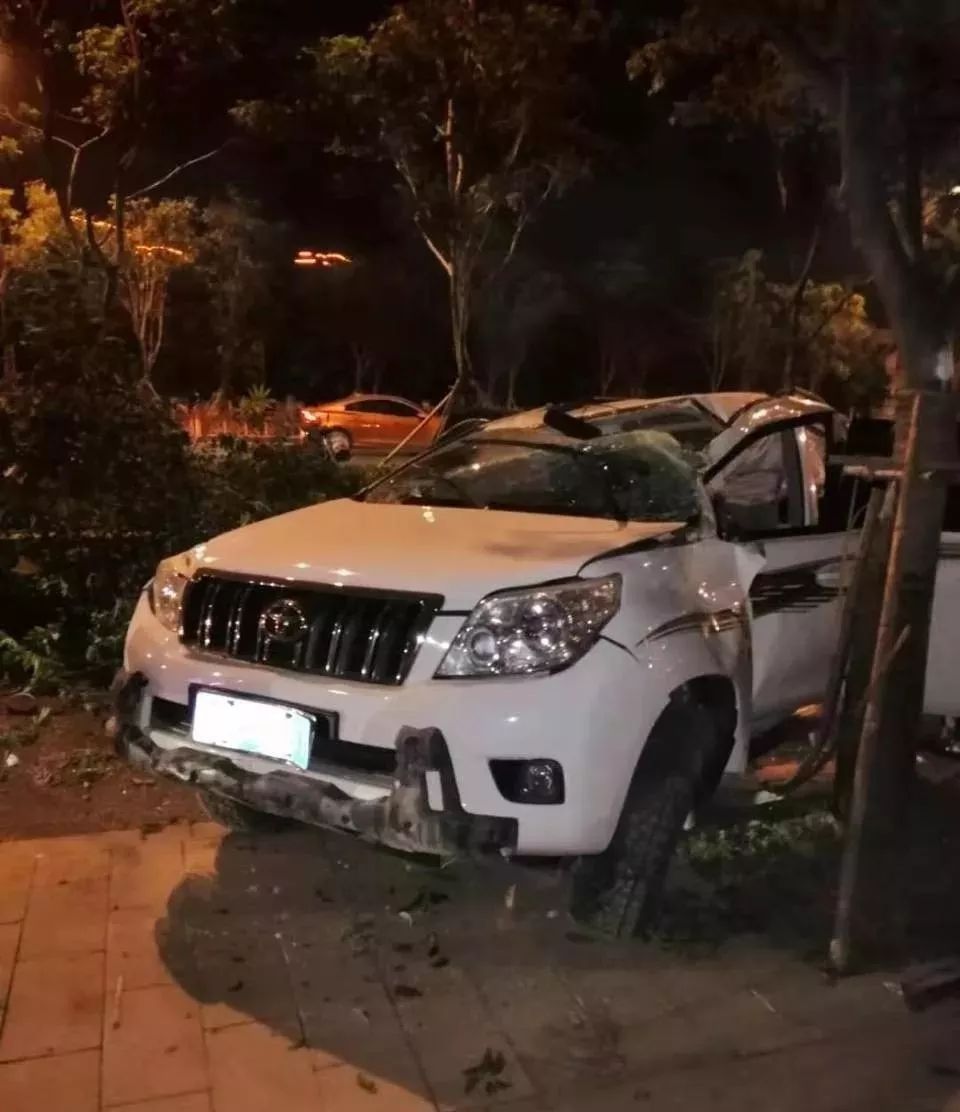 射箭项目中惊险一幕，选手勇敢斗争的简单介绍