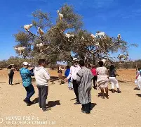 萨卡波特对伊比利斯战斗的火热对决